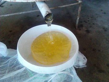 IMG_20130601_110743.jpg