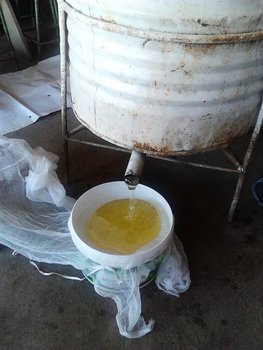 IMG_20130601_110807.jpg