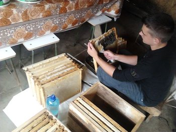IMG_20130601_142106.jpg