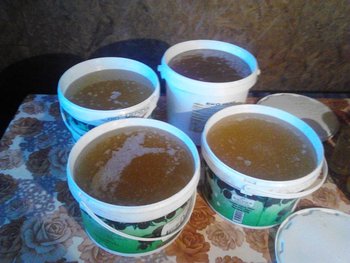 IMG_20130601_205206.jpg