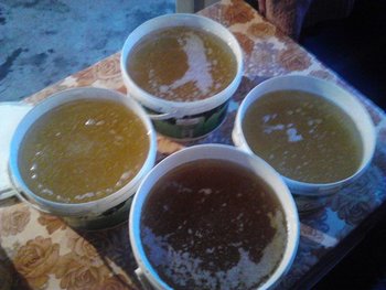 IMG_20130601_205149.jpg