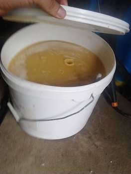 IMG_20130602_102140.jpg
