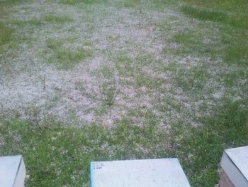 IMG_2013060647488.jpg