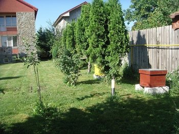 DSC09101.JPG