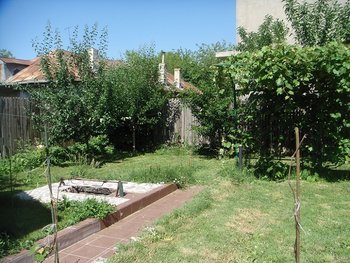DSC09109.JPG
