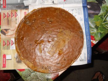 DSCN9146 (Large).JPG