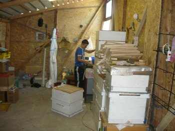 P1040054 (Medium).JPG