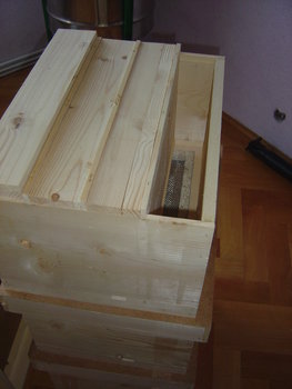 rsz_dsc03751.jpg