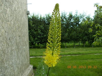 rsz_picture_019.jpg