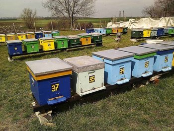 rsz_img_20130330_131207.jpg