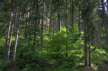 DSC_0507.jpg