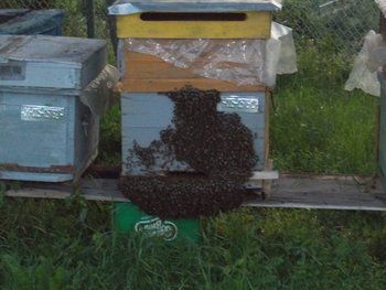 DSCN0108.jpg