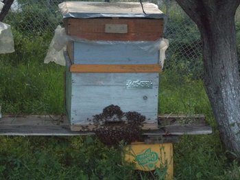 DSCN0109.jpg