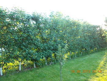 rsz_picture_027.jpg