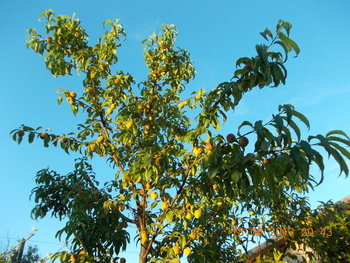 rsz_picture_026.jpg