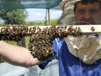 rsz_dscn0923.jpg