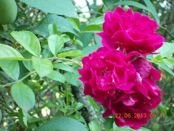 rsz_2picture_008.jpg