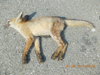 rsz_1picture_012.jpg