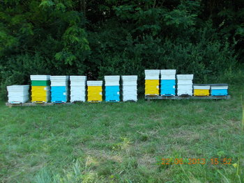 rsz_2picture_013.jpg