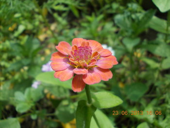 rsz_picture_020.jpg