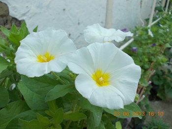 rsz_picture_023.jpg