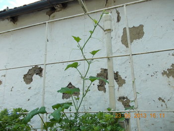 rsz_picture_025.jpg