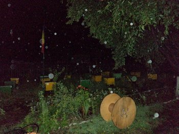DSC07723 (Small).JPG