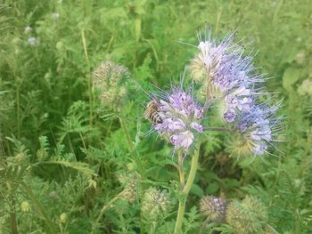 IMG_2013062613853.jpg