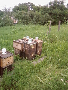 SP_A2237.jpg