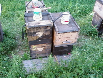SP_A2244.jpg