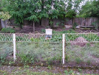DSCN2745.jpg