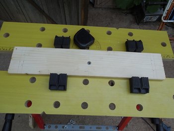 DSCN2950.jpg