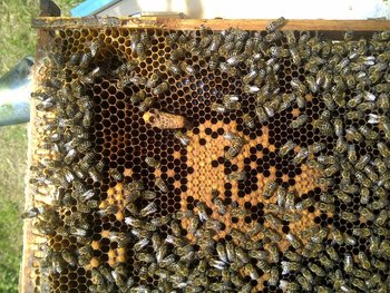 rsz_img-20130630-00537.jpg