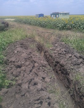 2013-07-03 13.54.49.jpg