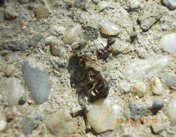 rsz_2picture_007.jpg