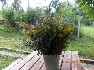 STUPINA LUI FLORINELU 023.JPG