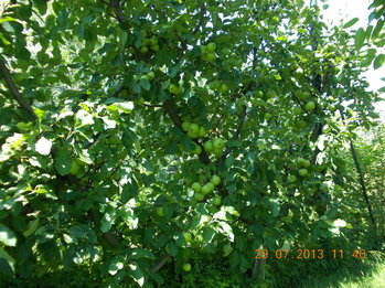 rsz_1dscn1376.jpg