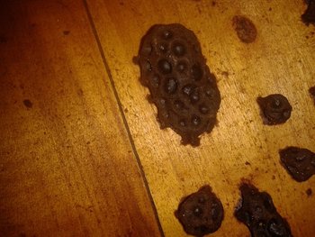 2013-08-02 20.56.40.jpg