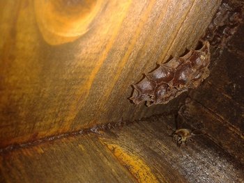 2013-08-02 20.56.55.jpg