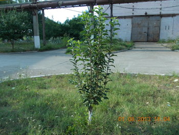 rsz_1picture_012.jpg