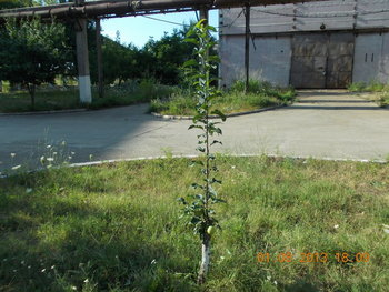 rsz_picture_014.jpg