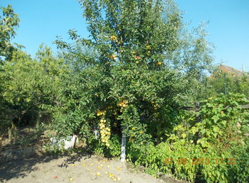 rsz_1picture_022.jpg