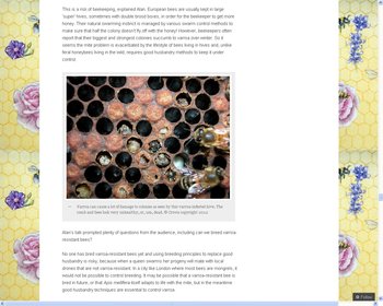 rsz_varroa.jpg