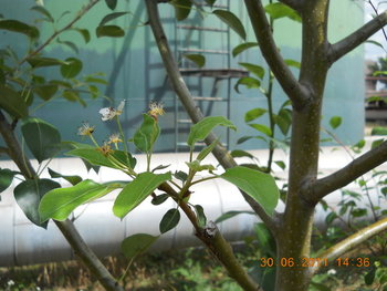 rsz_dscn0967.jpg