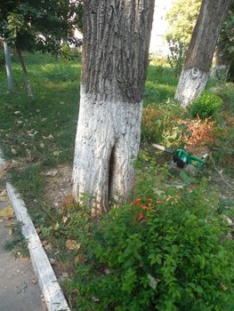 DSCN4944.JPG