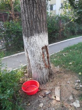 DSCN4945.JPG