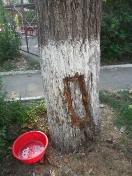 DSCN4946.JPG