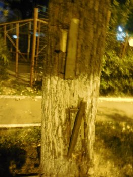 DSCN4947.JPG