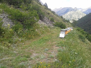 20130811_161930.jpg