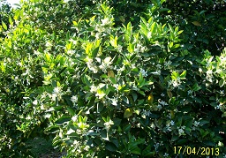 100_0903.JPG